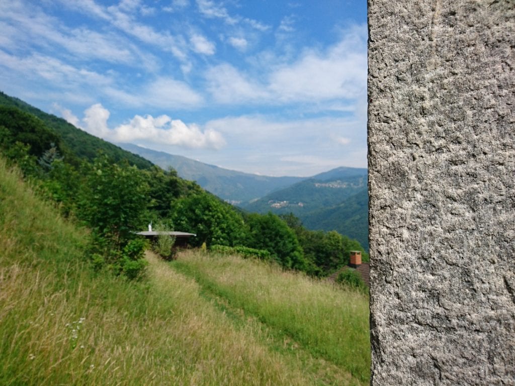 Scenic Trail K113 2019