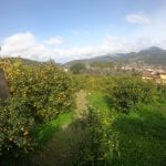 Mallorca GR221