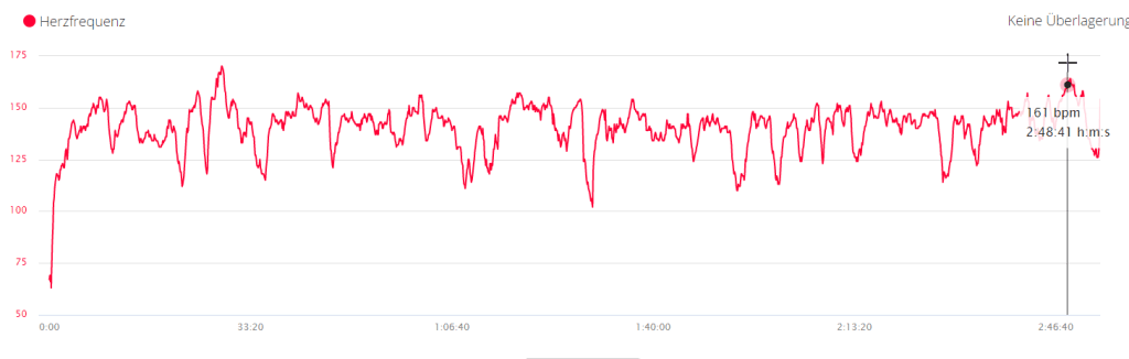 Garmin fenix 6x Pro