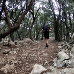 Mallorca GR221
