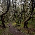 Madeira Tag 2