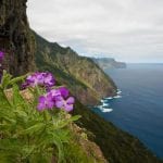Madeira Tag 5