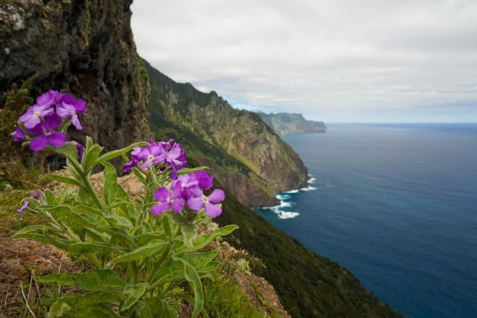 Madeira Tag 5