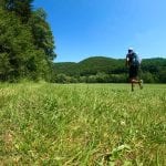Soonwaldsteig