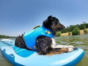 Ruffwear Float Coat