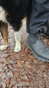 Muck Boot Herren Outscape Max