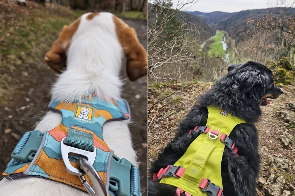 Ruffwear Front Range + Flagline Geschirr