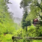 #66 - Ein Trekking Abenteuer im Schwarzwald