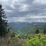 #66 - Ein Trekking Abenteuer im Schwarzwald
