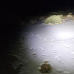 Teneriffa Teide Podcast
