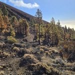 Teneriffa Teide Podcast