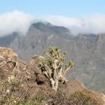 Podcast Folge 79 Kanaren La Gomera Teneriffa