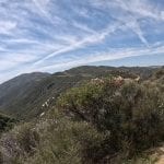 #87 - Der Leona Divide Trail Run: Ein Erlebnisbericht