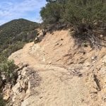 #87 - Der Leona Divide Trail Run: Ein Erlebnisbericht