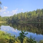 #88 - Unterwegs im Norden: Camper-Reise durch Skandinavien