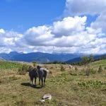 Folge#91 - Peaks of the Balkans – Outdoor-Abenteuer pur