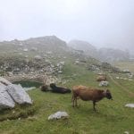 Folge#91 - Peaks of the Balkans – Outdoor-Abenteuer pur