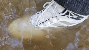 Merrell Moab Speed 2 Mid GORE-TEX