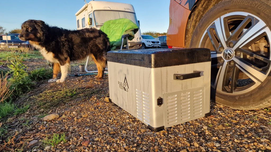 Plug in Festivals IceCube 30L