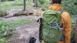 deuter Trail Pro 33