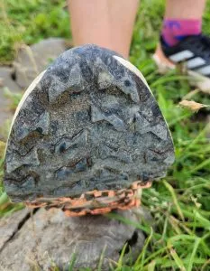 adidas Terrex Agravic Speed