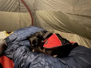 VAUDE Rotstein 700 Schlafsack