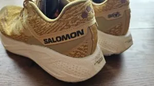 Salomon Aero Glide 3 GRVL