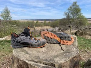 AKU ROCK DFS II GTX WS