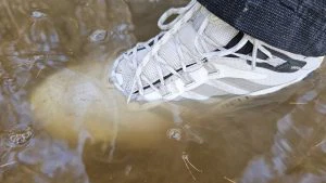 Merrell Moab Speed 2 Mid GORE-TEX